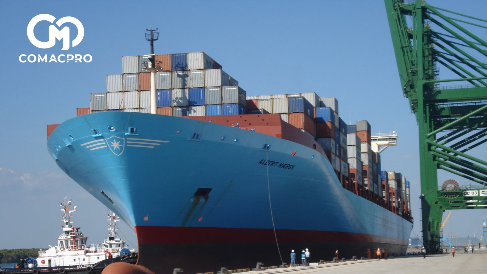 Cụm cảng ở Bà Rịa - Vũng Tàu đã đón nhiều tàu lớn.