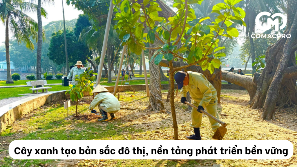 Cây xanh tạo bản sắc đô thị – Nền tảng cho phát triển bền vững