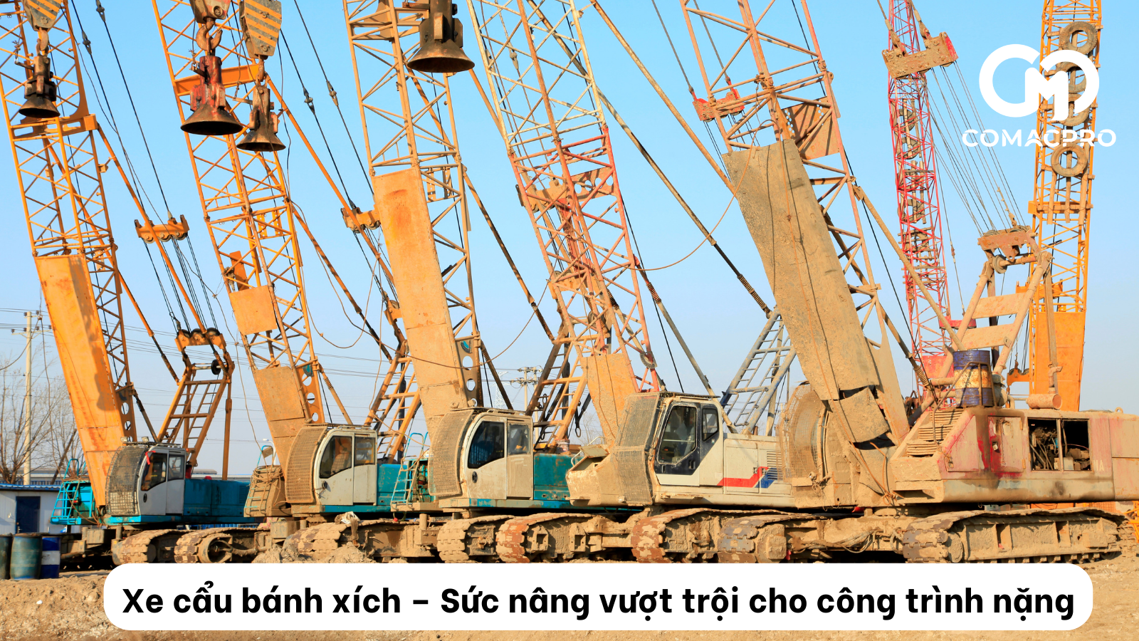 Xe cẩu bánh xích – Sức nâng vượt trội cho công trình nặng
